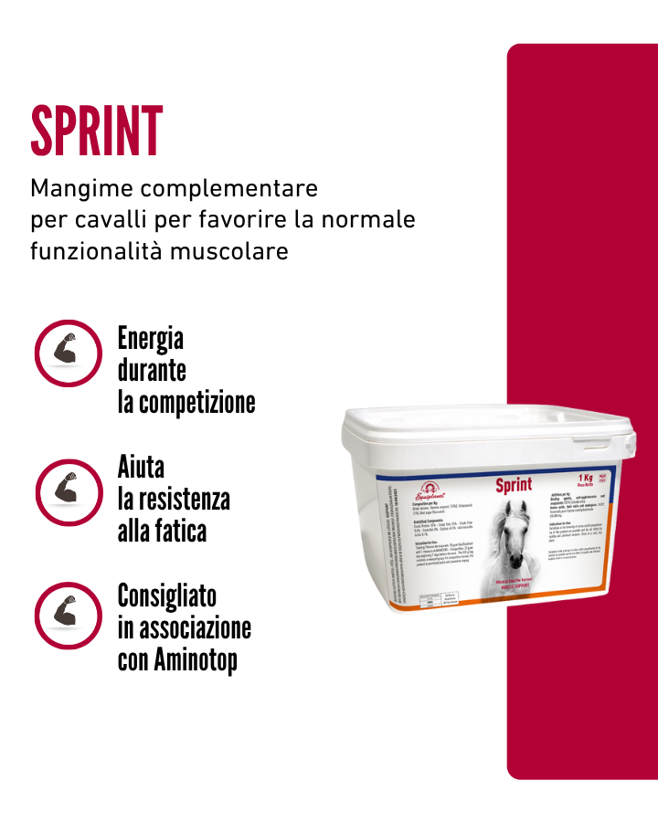 Sprint